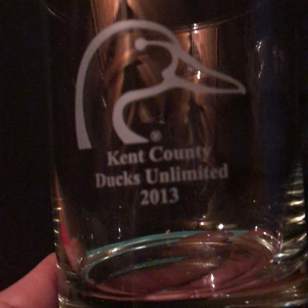 Ducks unlimited glasses